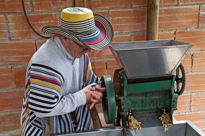 private-coffee-tour-near-medellin-from-bean-to-cup