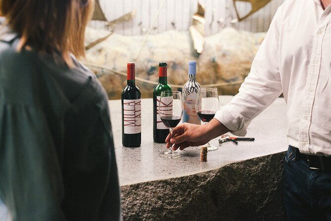 private-colchagua-vik-and-montes-wineries-experience