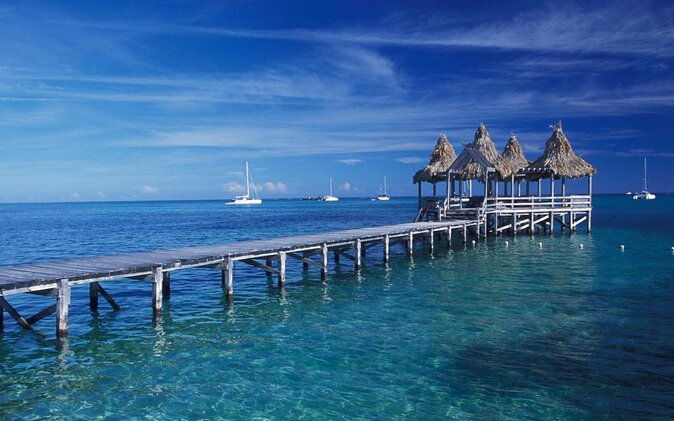 private-culinary-adventure-in-san-pedro-with-guide