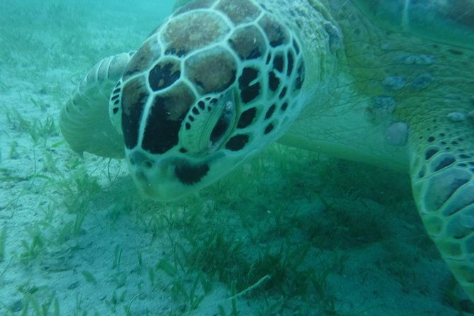 private-day-sail-snorkel-with-virgin-islands-day-sailing-6-guest-max