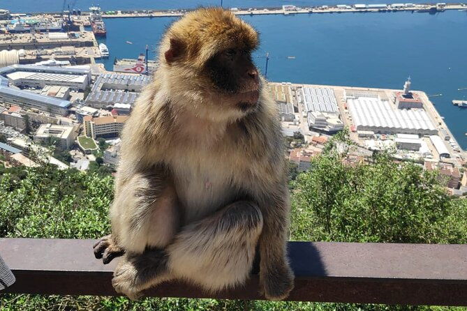 private-day-tour-in-gibraltar-and-tangier-morocco-from-malaga