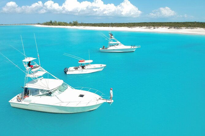 private-deep-sea-fishing-1-2-day-morning-onangler-management