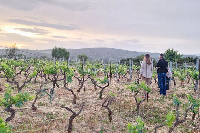 private-dinner-in-a-unesco-protected-family-field-near-stari-grad