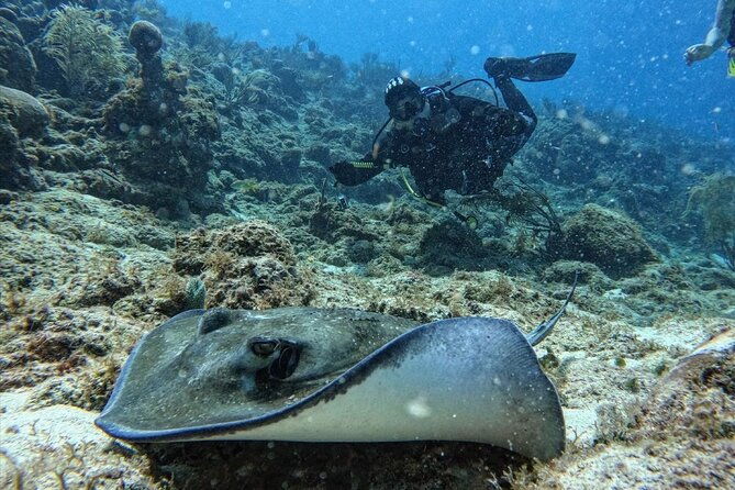 private-diving-experience-for-beginners-in-san-andres-islands