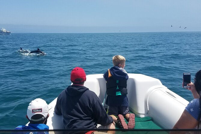 private-dolphin-and-whale-watching-tour-in-newport-beach