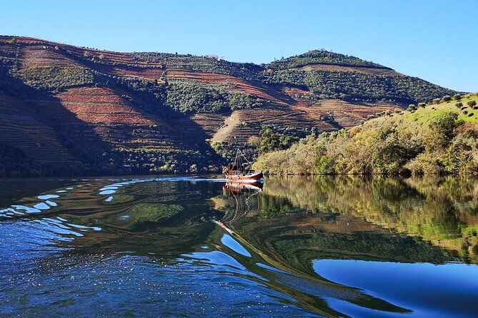 private-douro-valley-wine-tour-lunch-and-boat-cruise
