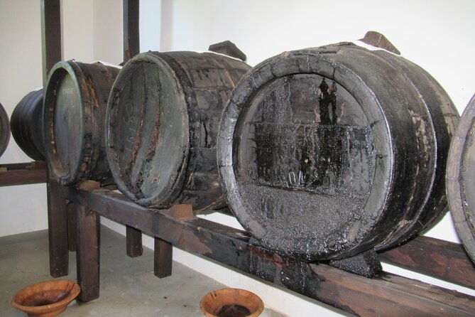 private-emilian-food-and-wine-tasting-tour-in-modena