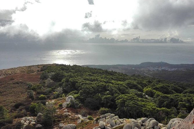private-evening-walk-inside-the-forest-sintra-mountains-inbetween-wolves-2
