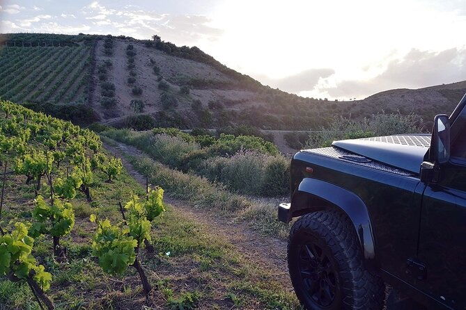 private-exclusive-manousakis-winery-and-vineyard-tour