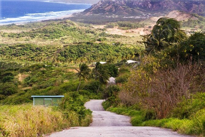 private-exclusive-scenic-views-tour-of-barbados-landscapes