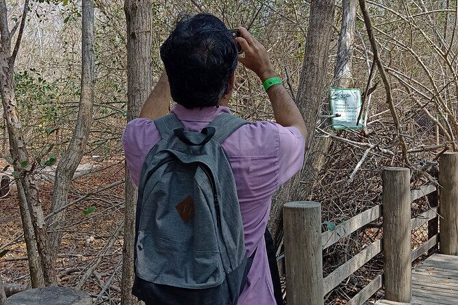 private-experience-at-the-national-aviary-of-colombia