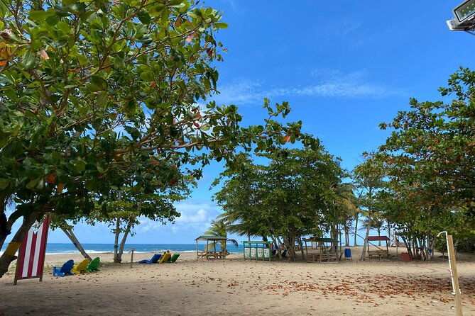 private-full-day-aguadilla-sightseeing-tour
