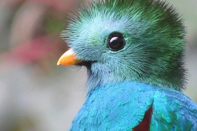 private-full-day-bird-watch-workshop