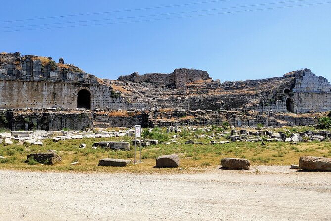 private-full-day-ephesus-tour-with-miletus-and-didyma-for-cruise-guests