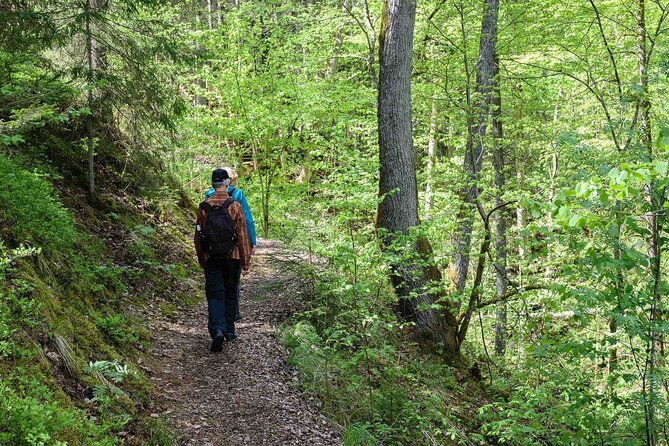 private-full-day-hiking-tour-in-sigulda-and-gauja-national-park