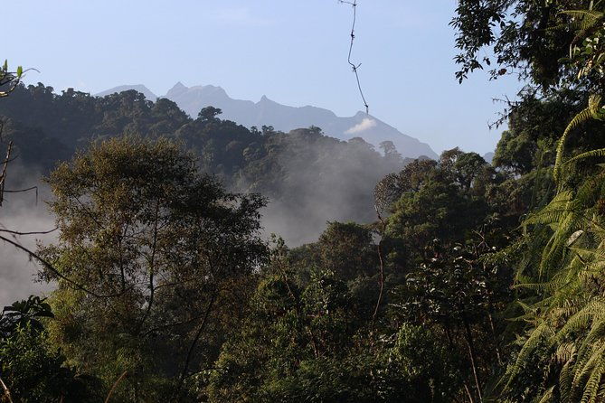 private-full-day-mindo-cloud-forestbutterfly-farm-chocolate-tour-bird-watching