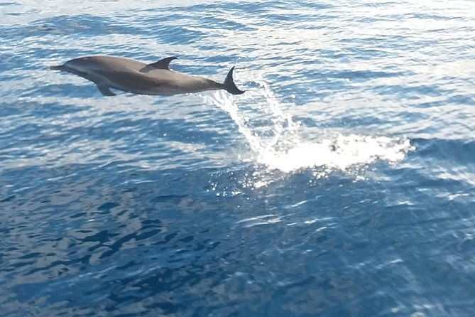 private-full-day-sail-snorkel-experience-usvi-sapphire-marina-stt-pick-up