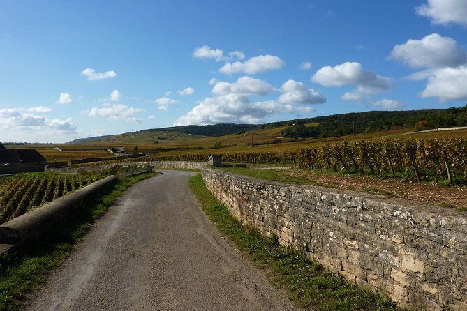 private-full-day-tour-burgundy-gourmet