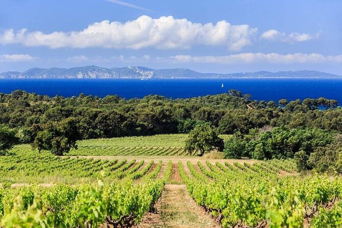 private-full-day-wine-tour-in-provence-from-toulon-cruise-port