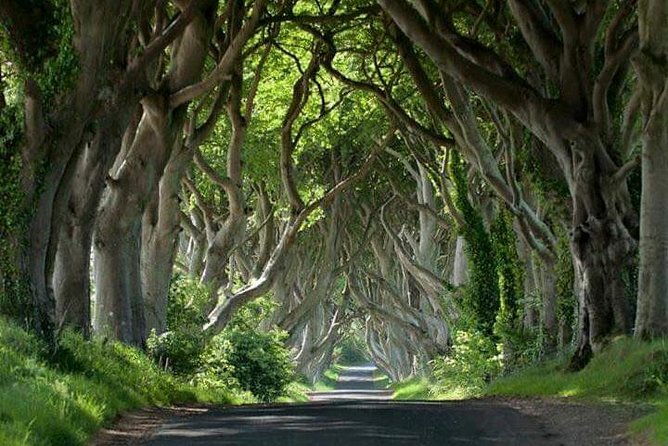 private-game-of-thrones-including-giants-causeway-causeway-coast-rope-bridge