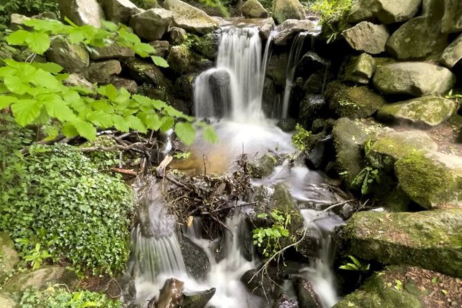 private-garden-of-ireland-wicklow-tour-from-dublin