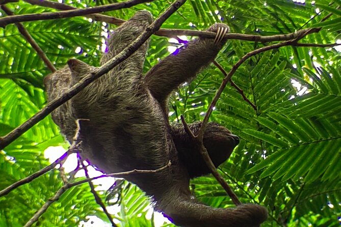 private-guide-hanging-bridges-fortuna-waterfall-arenal-volcano-2