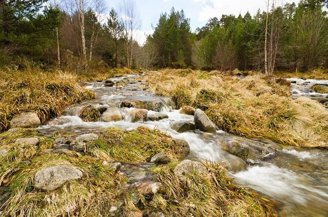 private-guided-mountain-walking-experience-in-the-cairngorms