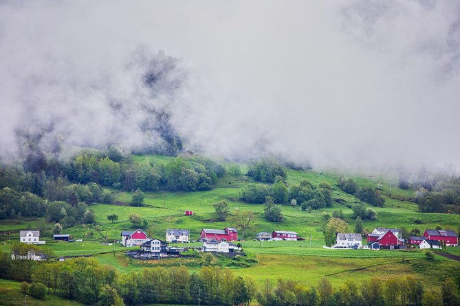 private-guided-tour-norways-highlights-viking-special-11-12-hours-summer