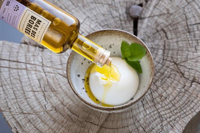 private-guided-tour-olive-oil-estate-in-salon-de-provence