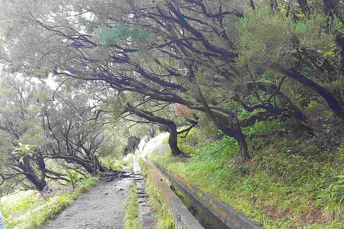 private-guided-walk-levada-25-fontes
