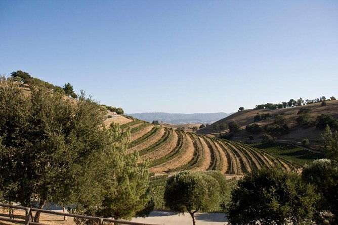 private-guided-wine-country-tour-from-santa-barbara