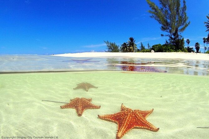 private-half-day-boat-tour-3-locations-of-your-choice
