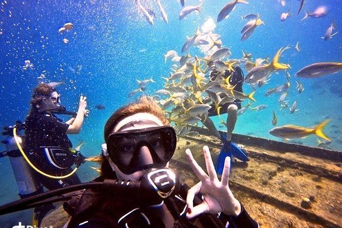 private-half-day-dive-trip-in-st-thomas-virgin-islands
