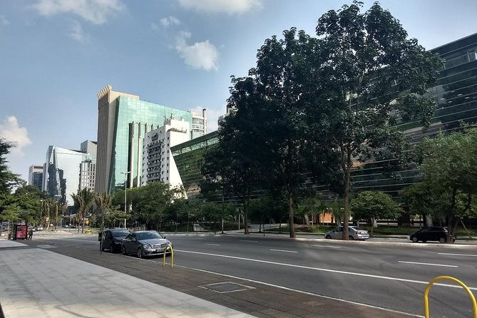 private-half-day-guided-tour-to-sao-paulo