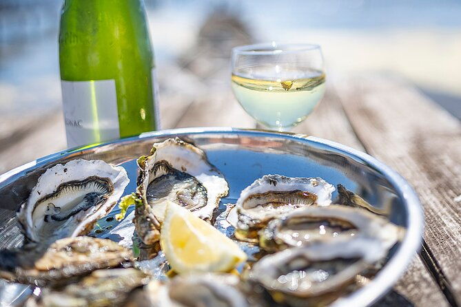 private-half-day-languedoc-wine-and-oyster-tour-from-sete-2