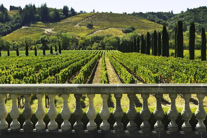 private-half-day-txakoli-wine-tour-getaria-fishing-village