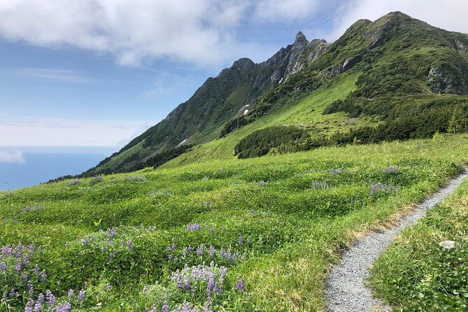 private-hiking-tour-in-sitka-alaska-2