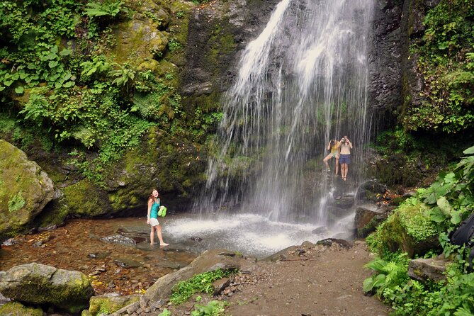 private-hiking-tour-to-mtirala-national-park-from-batumi
