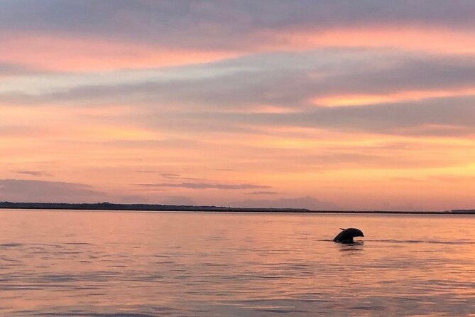 private-hilton-head-sunset-dolphin-tour-2
