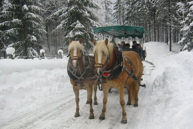 private-horse-drawn-sleigh-ride-from-salzburg