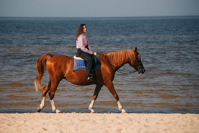 private-horse-riding-on-the-beach-in-riga-2