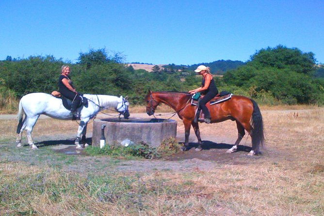 private-horseback-riding-and-muir-woods-adventure-from-san-francisco