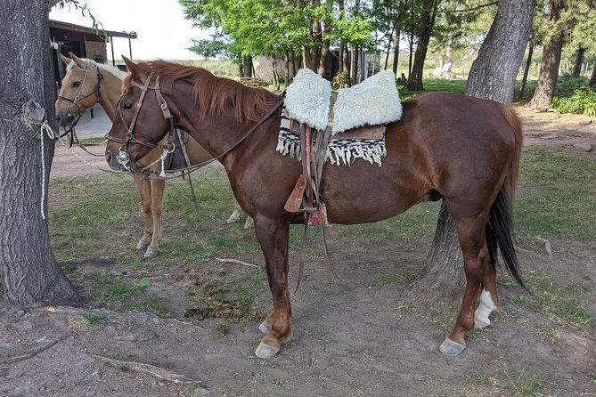 private-horseback-riding-at-the-foot-of-the-andes