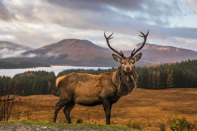 private-isle-of-skye-tour