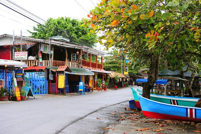 private-limon-shore-excursion-tortuguero-canals-tour