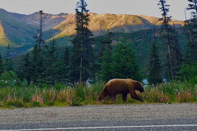 private-luxury-shore-excursion-skagway-ak-to-emerald-lake-yukon-2