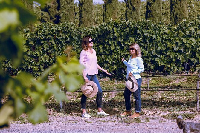 private-luxury-transportation-experience-napa-2
