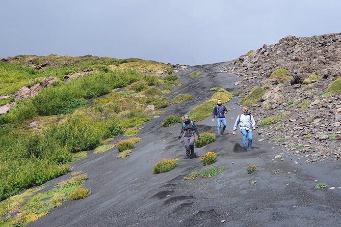 private-mount-etna-full-day-hike-from-a-refuge