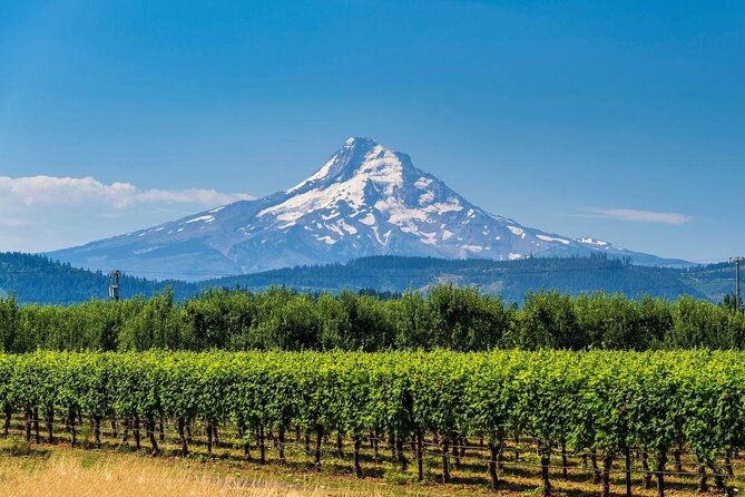 private-mt-hood-waterfall-tour-with-lunch-and-wine-included