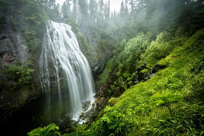 private-mt-rainier-national-park-day-trip-from-seattle
